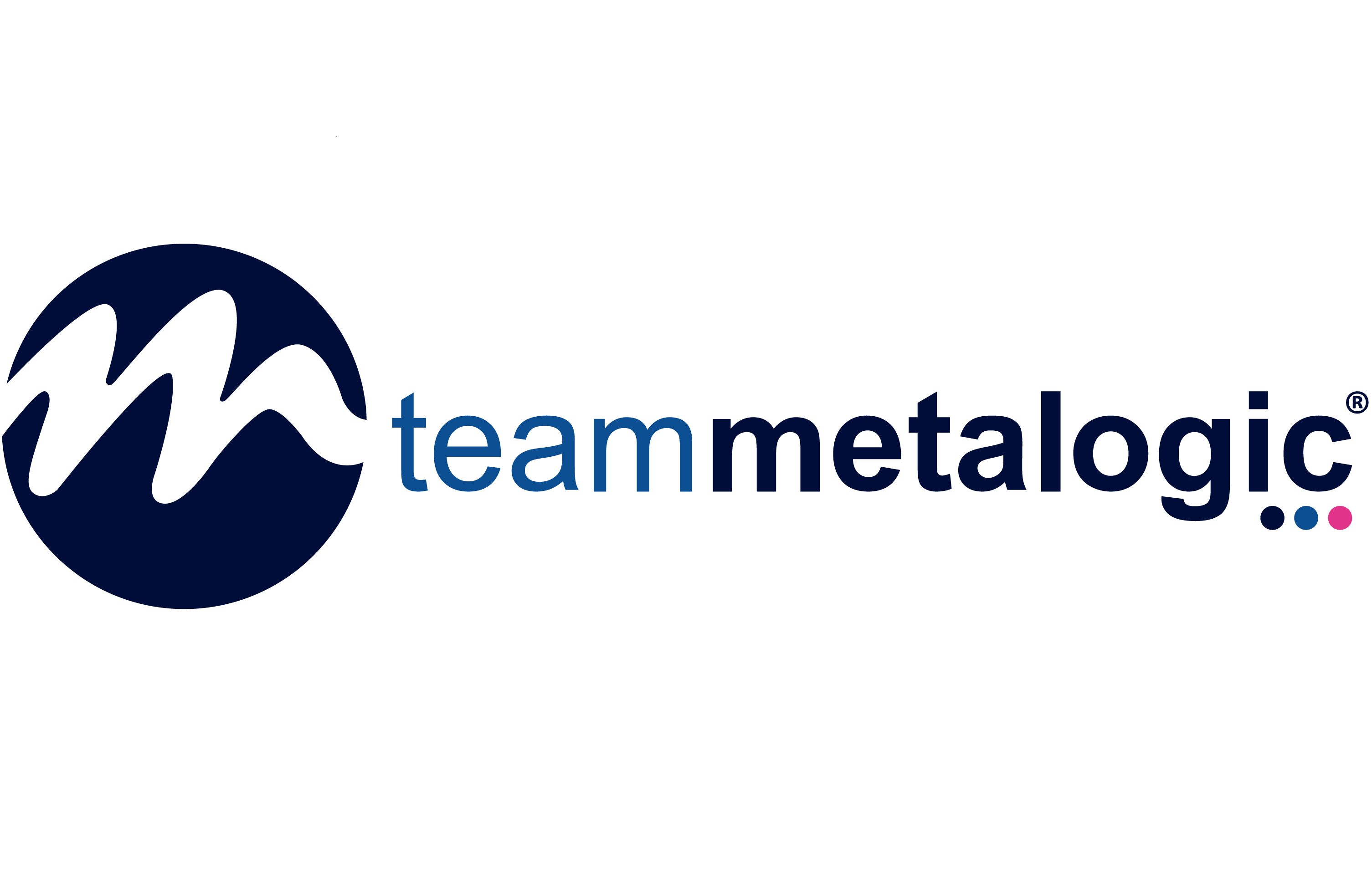 Demonstrating company culture with Team Metalogic