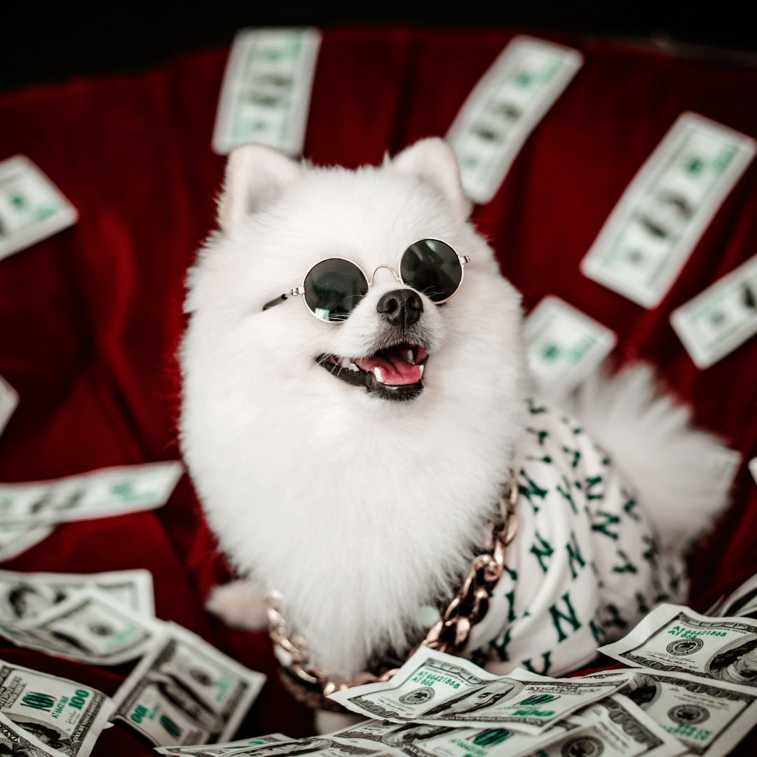 Big budget doesn’t always mean big results